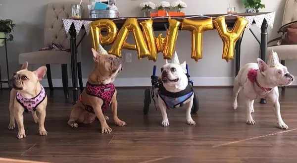 Party-Banner.jpg