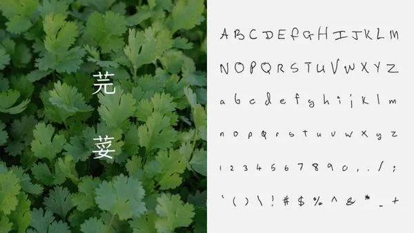【解鎖會員獨家功能】5 個「設計感字型」免費下載！登入會員建置個人化生活資料庫