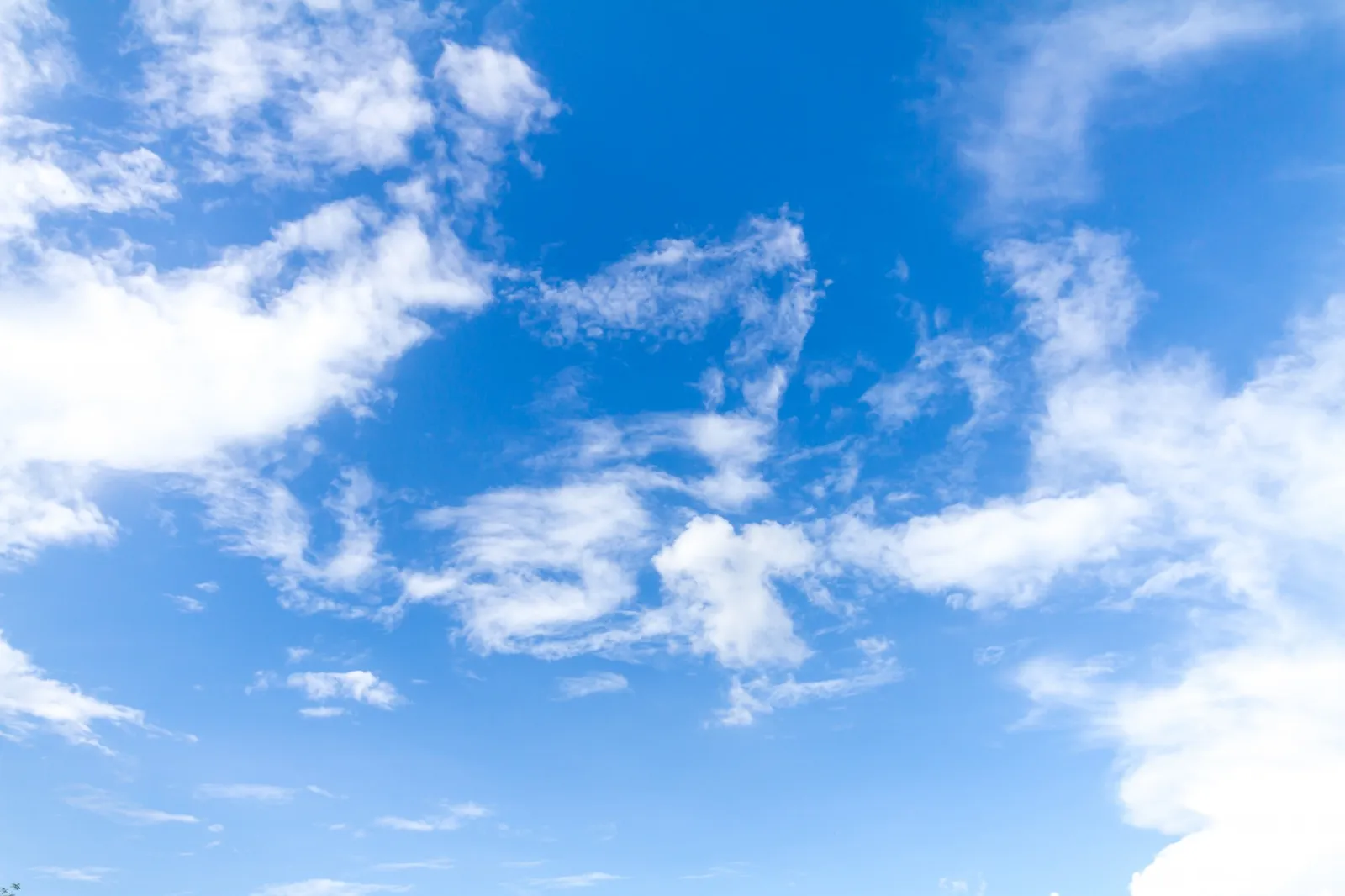 歷時近四年！Twitter撐腰的去中心化社群「Bluesky」上線，市場為何不看好？｜Web3+