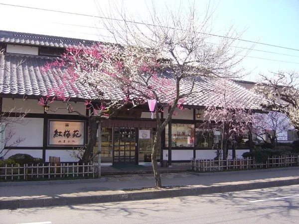 精選東京 3 間梅子專賣店