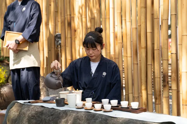 飛花落院