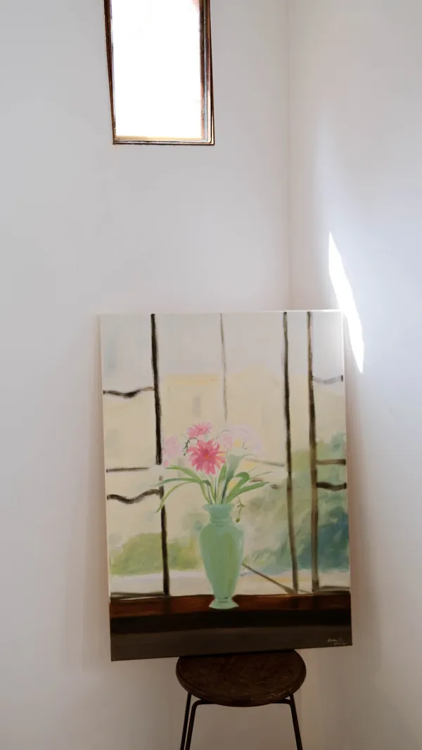 鹵貓