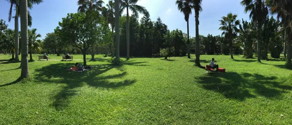 大安森林公園