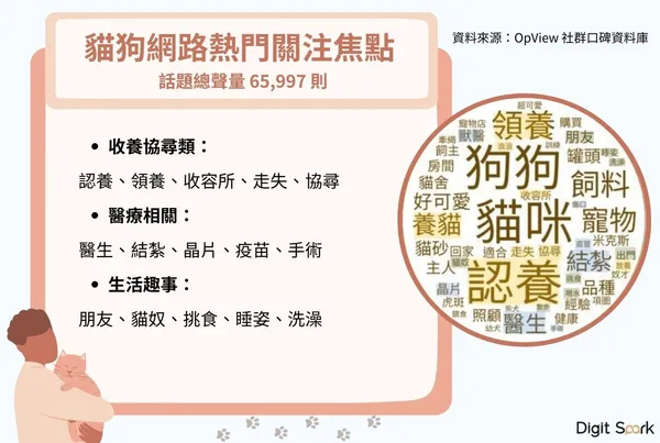 寵物關注焦點