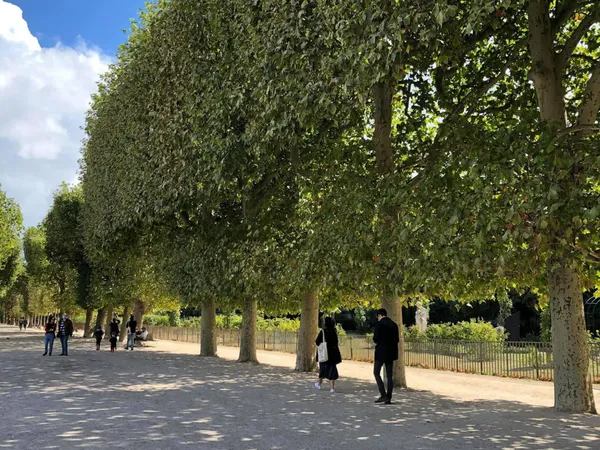 改變城市的設計與人