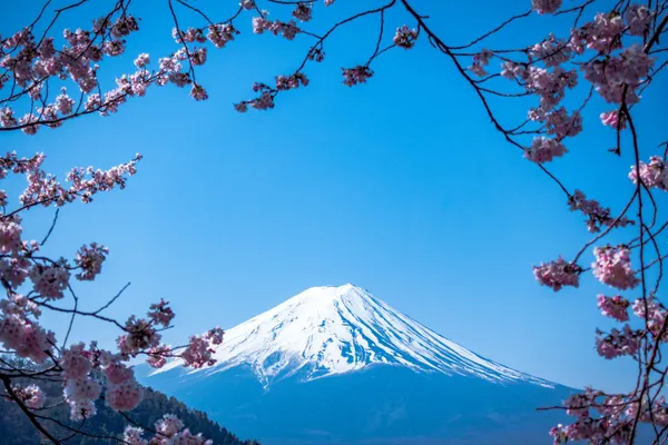 feature picture