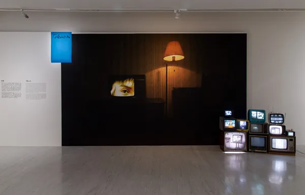 「勒內．布里：視覺爆炸」展