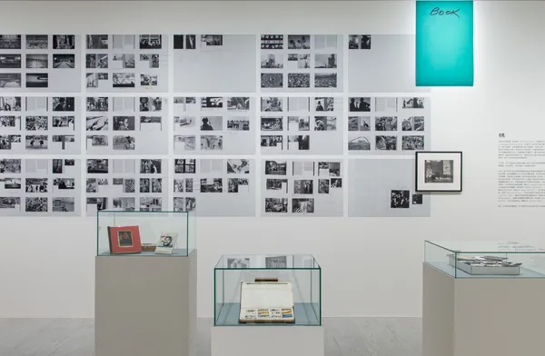 「勒內．布里：視覺爆炸」展