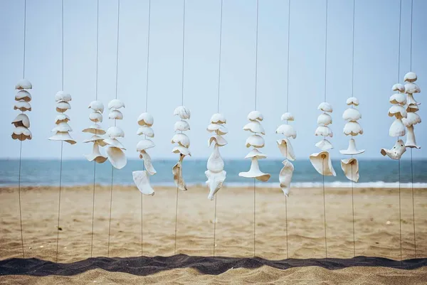 藝術在一座小島＿葉海地＿透明夢Translucent Dreaming(局部)-03.jpg
