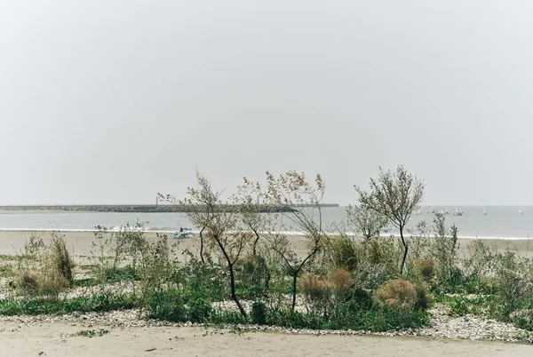 重繪地海之島＿吳書原＿島之夢＿02.jpg