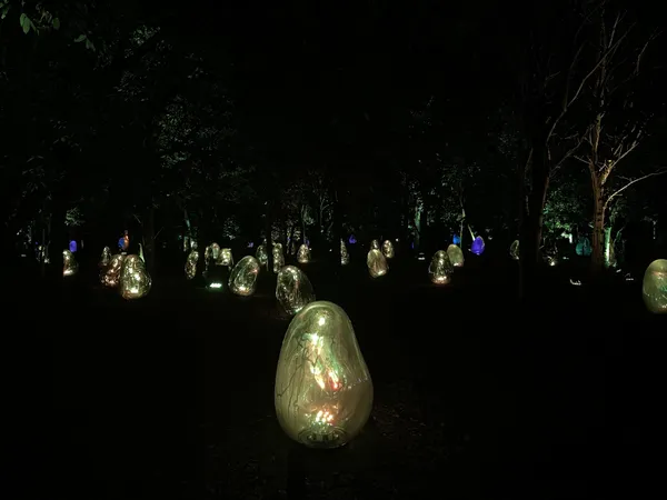 teamLab 大阪長居植物園常設展15.jpg