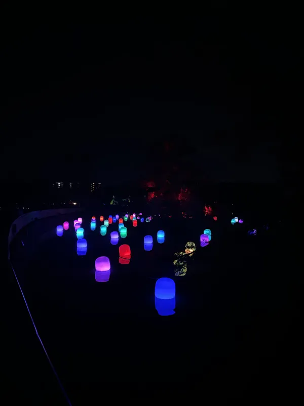 teamLab 大阪長居植物園常設展17.jpg