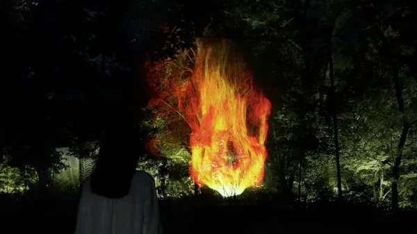 teamLab 大阪長居植物園常設展2.jpeg
