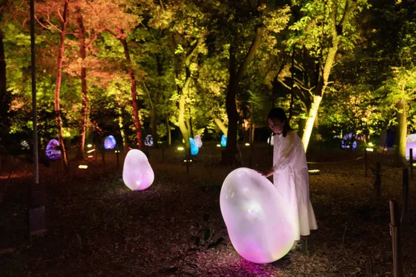 teamLab 大阪長居植物園常設展5.jpeg
