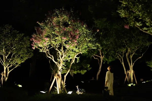 teamLab 大阪長居植物園常設展8.jpeg
