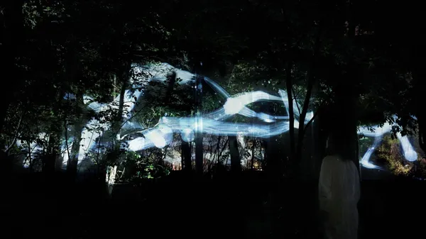 teamLab 大阪長居植物園常設展11.jpeg