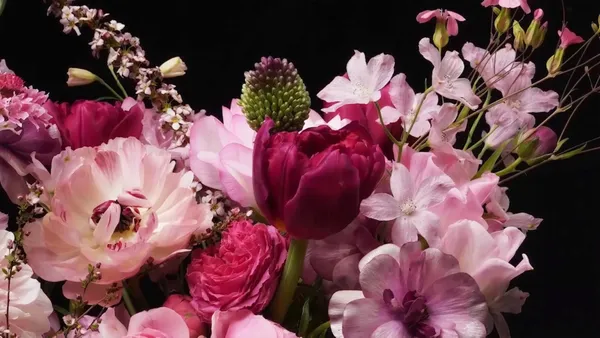 跳舞的花 Dancing Flowers Blooming Timelapse_投影圖像3.jpg