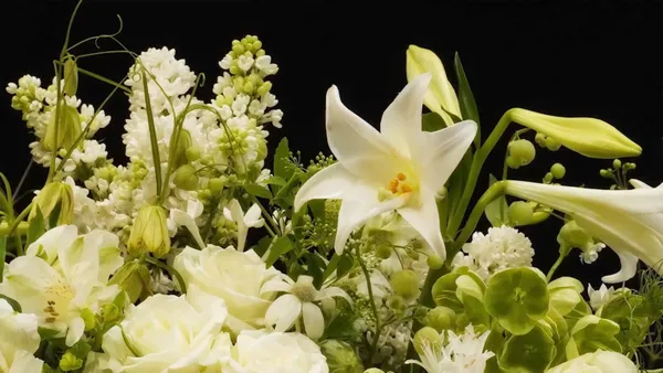 跳舞的花 Dancing Flowers Blooming Timelapse_投影圖像4.jpg
