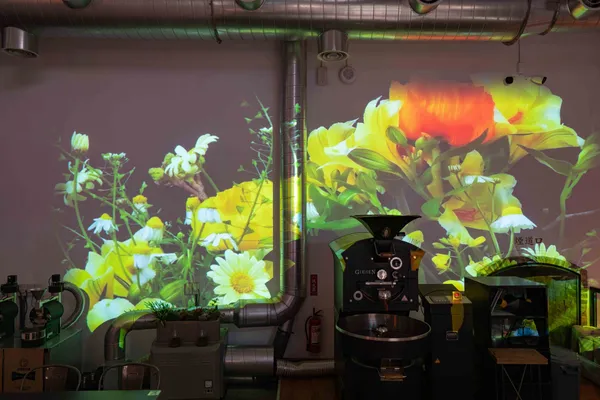 跳舞的花 Dancing Flowers Blooming Timelapse_室內光雕圖片5.jp