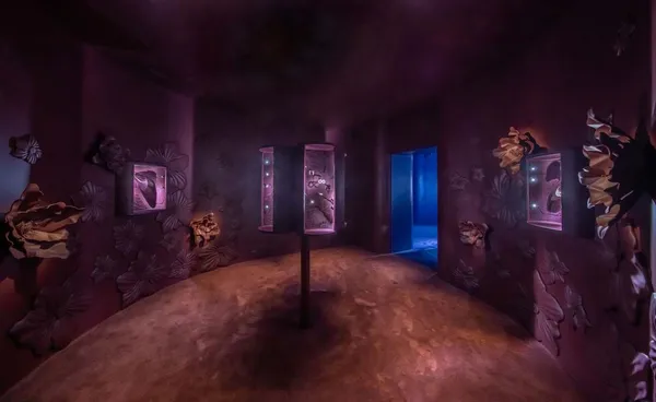 LV_Destiny 展間_02.jpg