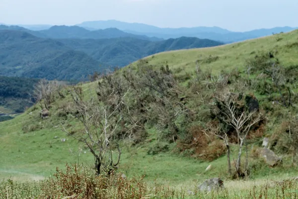 HOUTH_03