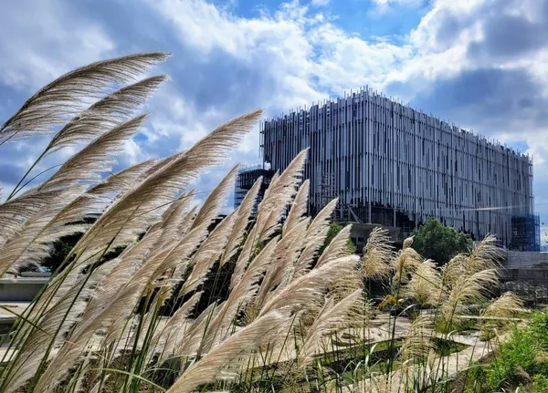 新北市美術館開園