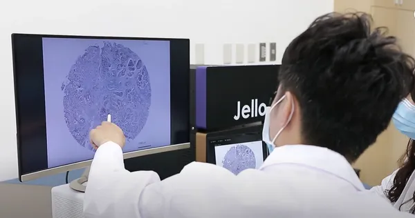 捷絡生物科技 JelloX Biotech官網截圖