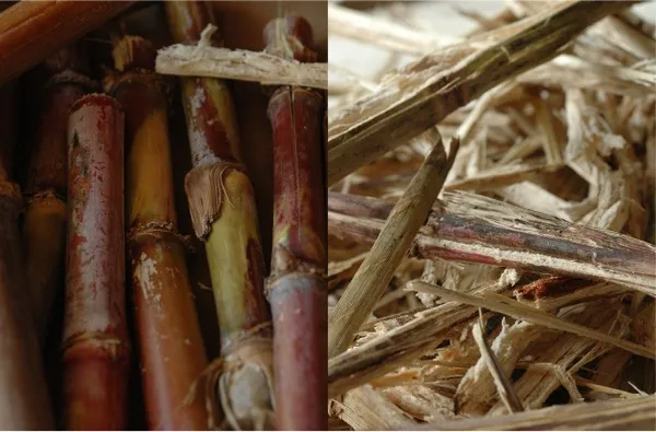 WASARA