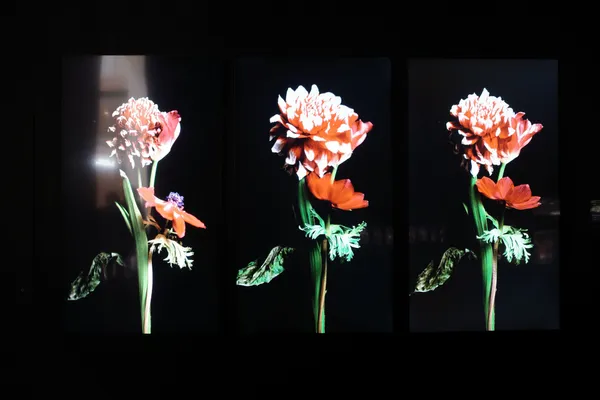 《東信展：繁花．時敘》5.jpg