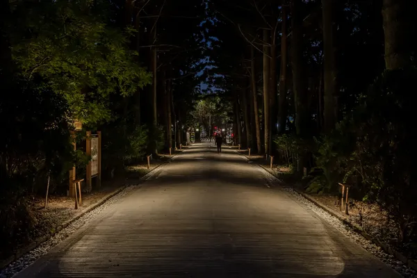台北植物園植光步道