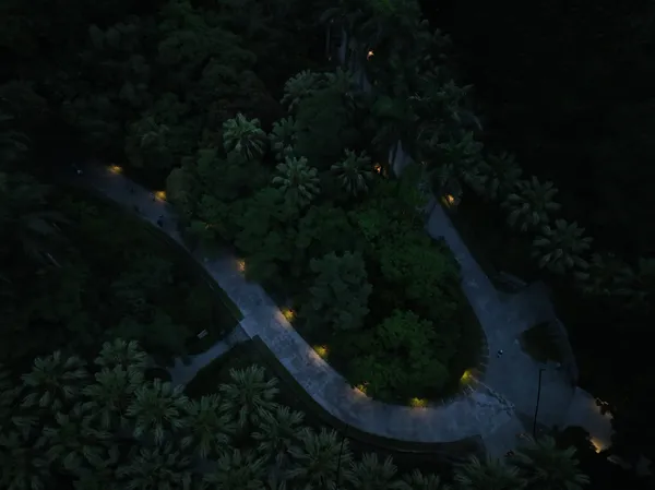 台北植物園植光步道