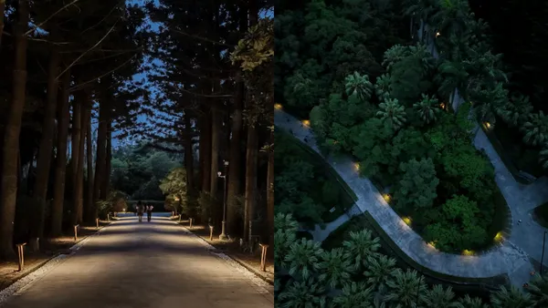 台北植物園「植光步道」正式啟用！以減光設計為題，打造全長 435 公尺的微光靜謐步道