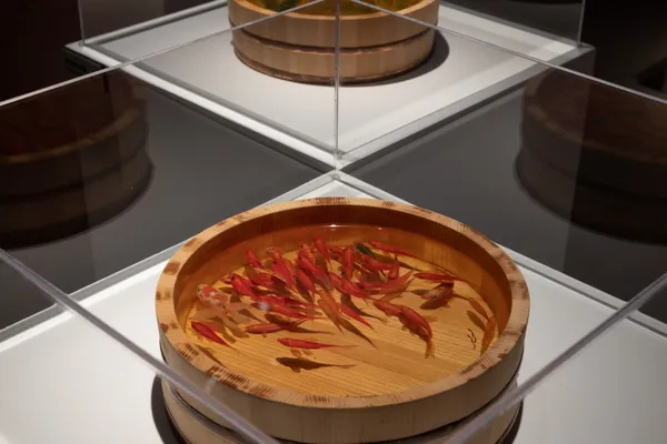 「跳出格子吧！」奇美博物館特展