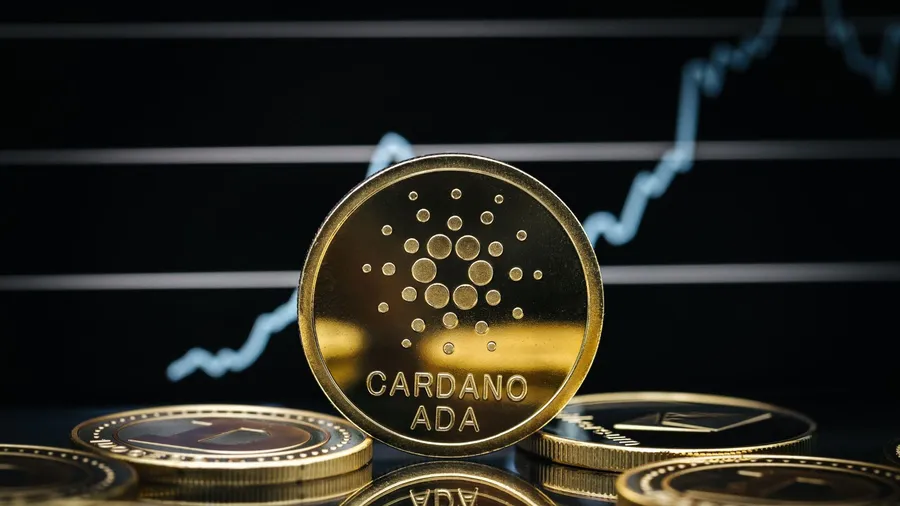 Cardano「CIP-1694 協議」線下聚會來了！一次看懂怎麼參加
