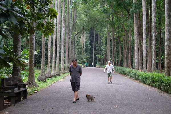 嘉義樹木園