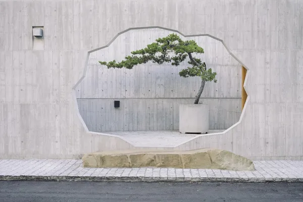 森:casa_RCP0280.jpg