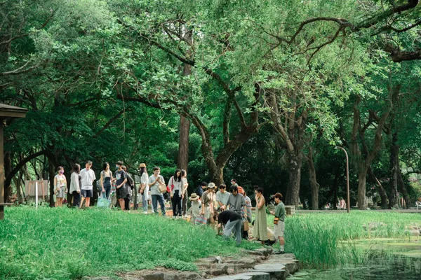 嘉義「城市公園野草學」特展