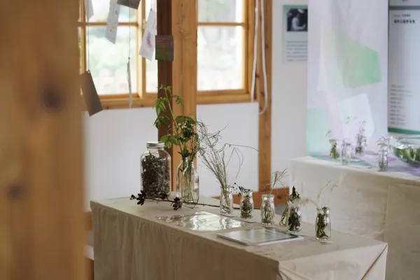 嘉義「城市公園野草學」特展
