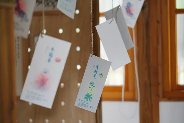 嘉義「城市公園野草學」特展
