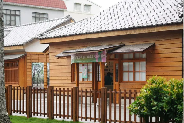 嘉義「城市公園野草學」特展