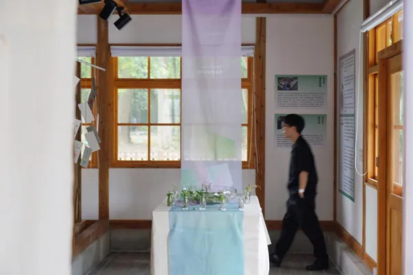嘉義「城市公園野草學」特展