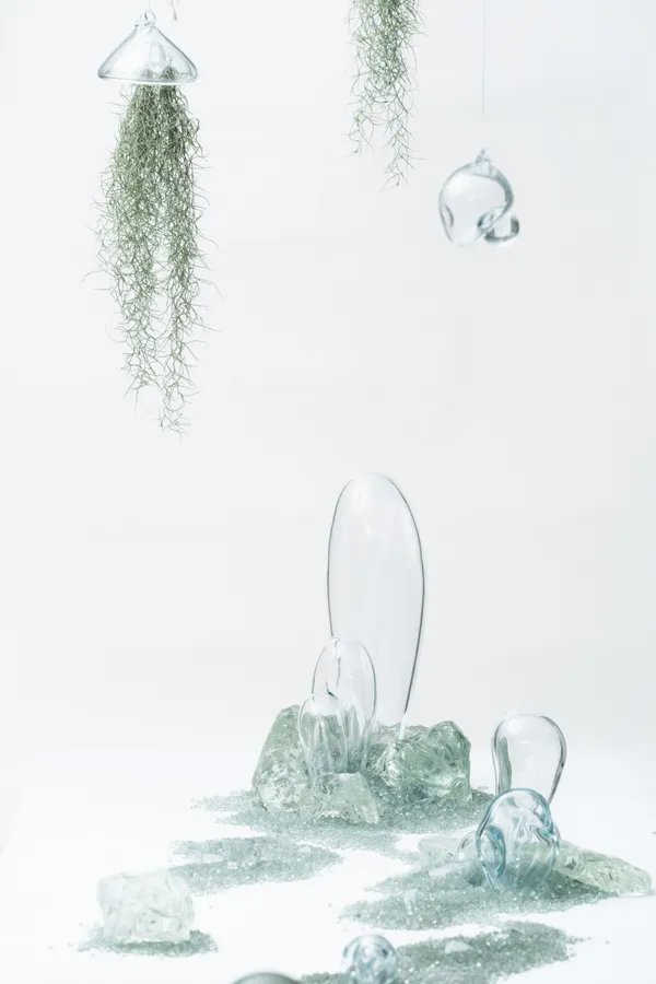 春室 夏季展覽「溫室」