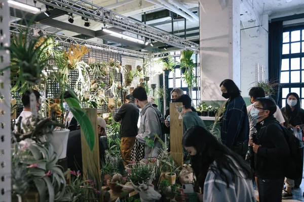 「台灣第一植物界：花見植狩」