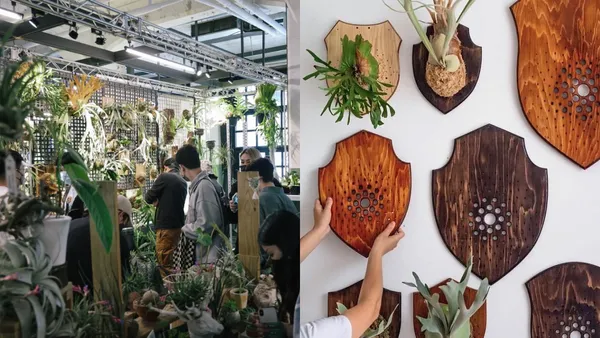 「2023 大型植物展覽市集」在台中！全台近 80 間植物品牌進駐、園藝大師西畠勲造首度登台