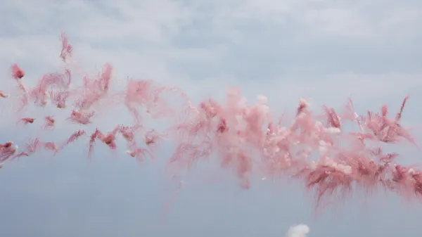 蔡國強ＸSaint Laurent 《櫻花滿天的日子》