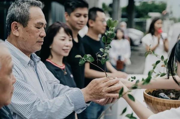 朝陽社區_茶籽堂