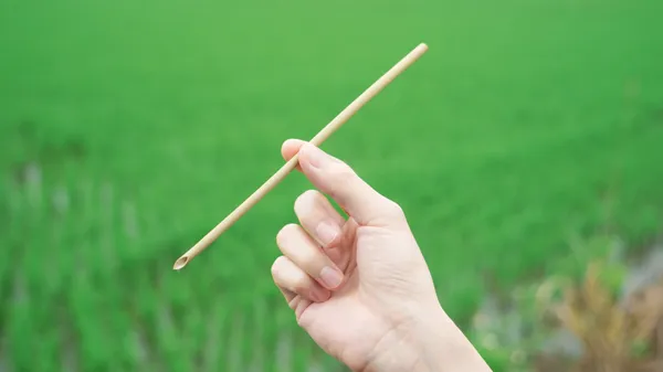 玩艸植造水草吸管