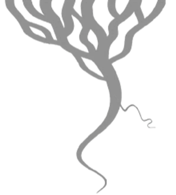 衝破慣性圖片1.png