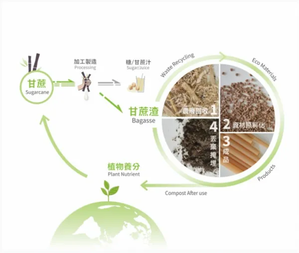 甘蔗纖維吸管製造過程