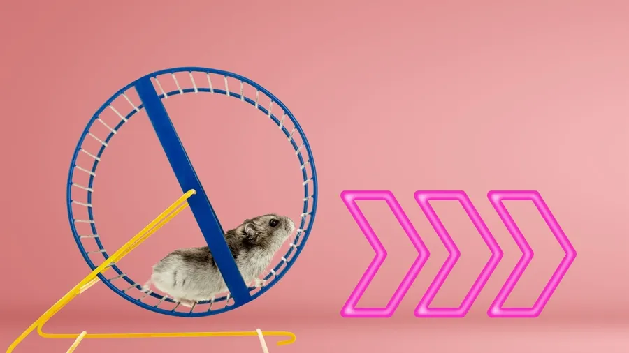 在區塊鏈上「賽倉鼠」！結合直播、DeFi，原生代幣市值破600萬美元